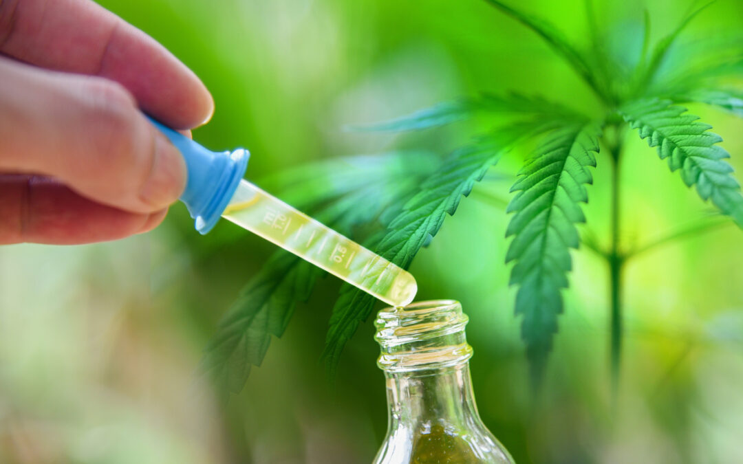 The Power of Cold-Pressing: Why Our Hemp Extract is Superior